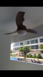 A Treasure Trove (D19), Condominium #115152532